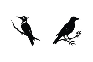 Bird Silhouette Set Woodpecker And Raven On Branches Vector Illustration Isolated