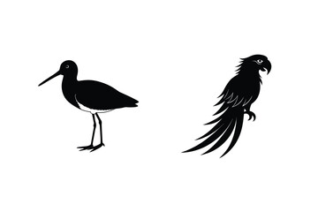 Black Silhouettes Of Shorebird And Parrot On A White Background Illustration
