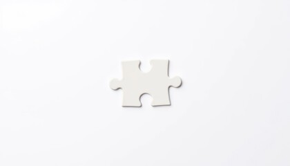 Single Puzzle Piece on White Background