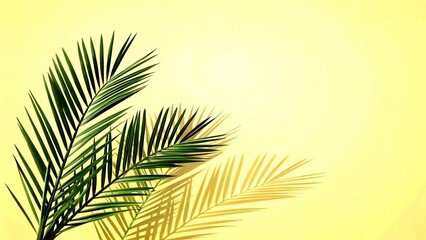 palm tree leaves on yellow background