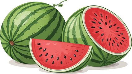 Watermelon with Watermelon Slice in white background vector design, Watermelon vector design