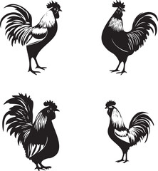 Black and white rooter set on white background 