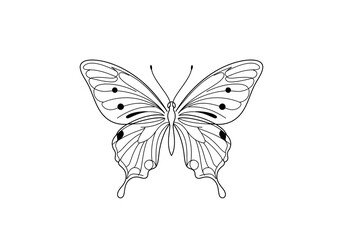 butterfly vector illustration