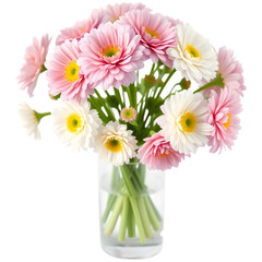 Fototapeta premium Delicate pink and white gerbera daisies arranged in a clear glass vase. A cheerful and vibrant bouquet perfect for any occasion.