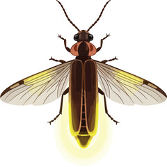 Glowing Firefly Vector Illustration on White Background.