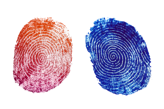 Two vibrant fingerprint designs in orange and blue, perfect for identity or security themes, on a white isolated background.
