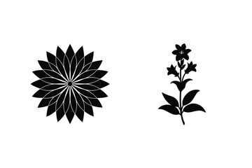 Floral Silhouettes Featuring Decorative Mandala And Stem With Flowers On White Background