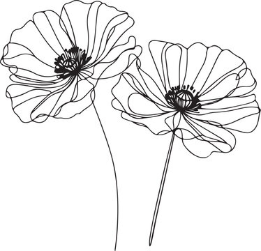recommend clip art: Poppy flowers in continuous line art drawing style