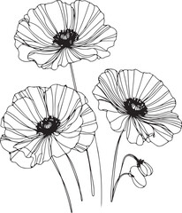 Obraz premium Poppy flowers in continuous line art drawing style