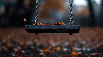 Autumnal swing in park