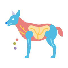 Colorful cartoon diagram of a dog's anatomy