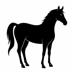 Black Horse Silhouette Vector