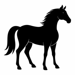 Black Horse Silhouette Vector