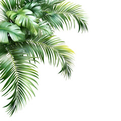 Naklejka premium Lush green palm tree leaves contrasting beautifully against a clean transparent background for a tropical feel, Green leaves of palm tree on transparent backgroundfile