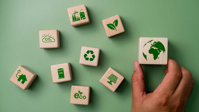 Green Energy and Sustainability Concept. sustainability, environmental conservation, Reduce CO2 emission concept. net zero, and carbon neutrality. Climate change, Global warming, Greenhouse gas