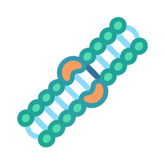 DNA molecule structure with proteins illustration isolated