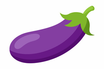 eggplant vector illustration white background