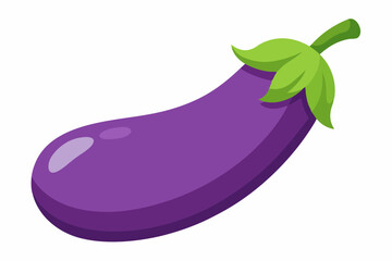 eggplant vector illustration white background