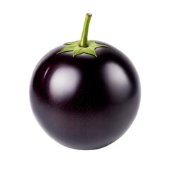 Round Eggplant