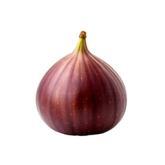 Obraz premium Single Fig