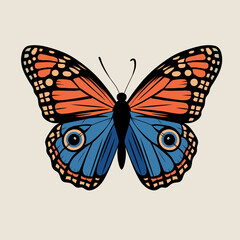 Butterfly vector ilustration