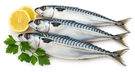 Three whole, shiny mackerels with their scales intact and glistening skin lie on a white surface