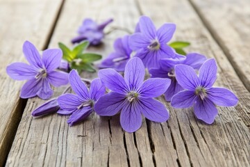 Delicate purple flowers on weathered wood