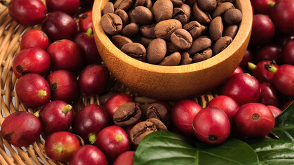 Roasted coffee in a wooden bowl and red ripe coffee