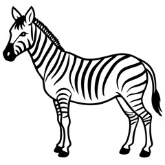 Detailed Zebra Line Drawing