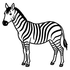 Detailed Zebra Line Drawing
