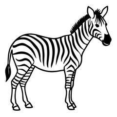 Detailed Zebra Line Drawing