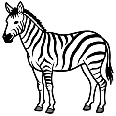 Detailed Zebra Line Drawing
