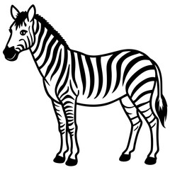 Detailed Zebra Line Drawing