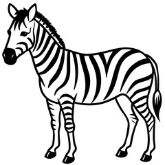 Detailed Zebra Line Drawing