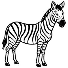 Detailed Zebra Line Drawing