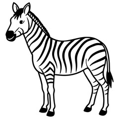 Detailed Zebra Line Drawing