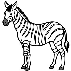 Detailed Zebra Line Drawing