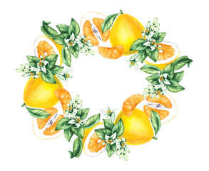 Pomelo citrus fruit watercolor hand painted. Pomelo wreath of flowers and citrus for wedding, holiday decor and food packaging. Citrus fruit on white background
