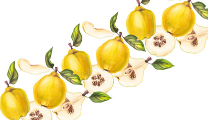 Quince fruit painted with watercolor illustration isolated on white background. Quince wreath for...