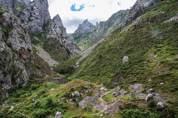 Mountain landscape in the Cares gorge in Spain, with its rocky cliffs and vegetation