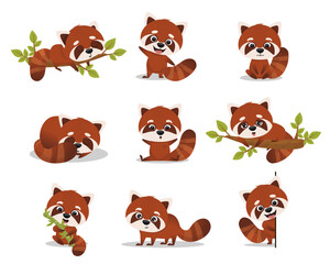 Red panda, set of cute animals in different poses. Vector image of red panda illustration. perfect for stickers, clothing prints, coloring books.