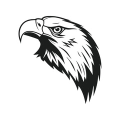eagle head vector illustration