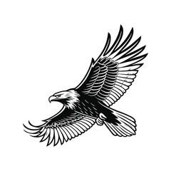 Flying Eagle Vector Illustration