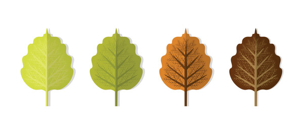 Seasonal Leaf Evolution – Green to Brown Gradient Botanical Vector Set