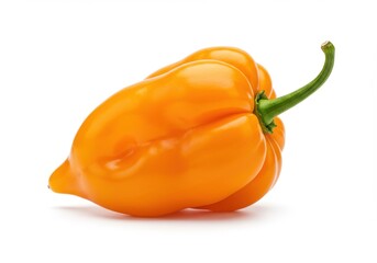 Close up shot of a single orange habanero pepper with a green stem on a white background surface