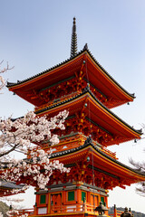 Discovering the beauty of a vibrant pagoda surrounded by cherry blossoms in Japan during springtime