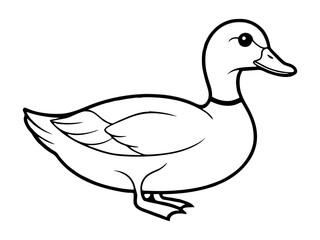 Mallard Duck Outline Vector Illustration