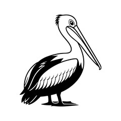 Pelican Bird Silhouette. Coastal Wildlife Vector Illustration