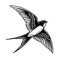 Swallow Bird silhouette vector Illustration