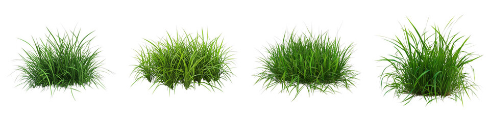 Patch of green Isolated on transparent background. PNG , Set of